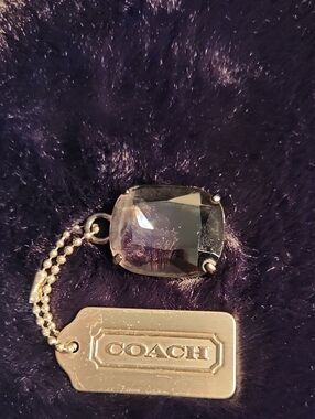 Coach RARE Metal And Smokey Lucite Jewel Hang Tag